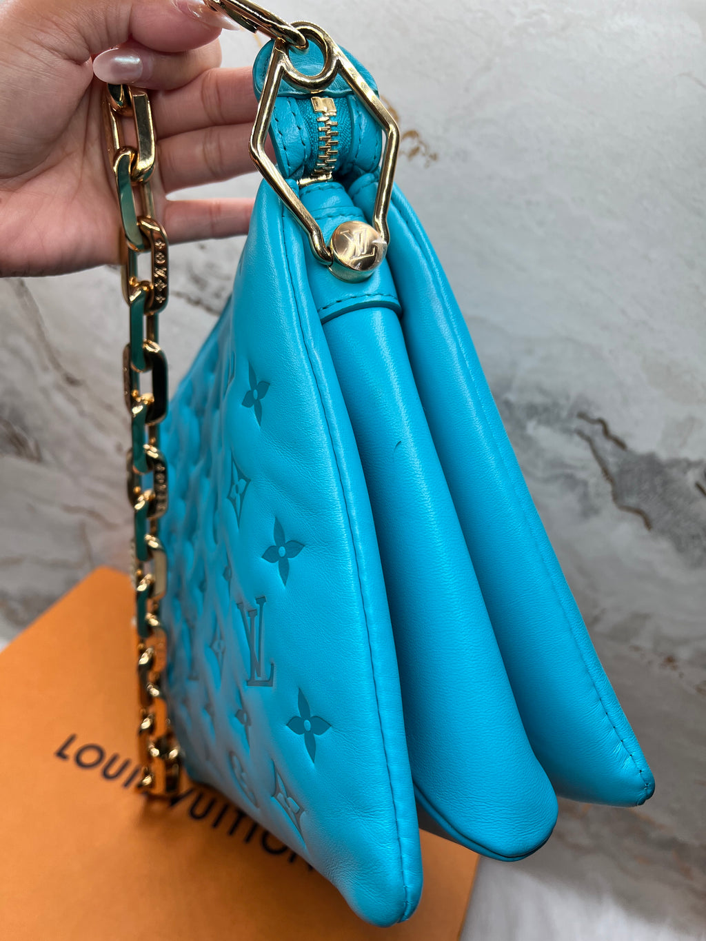 Louis Vuitton Coussin PM