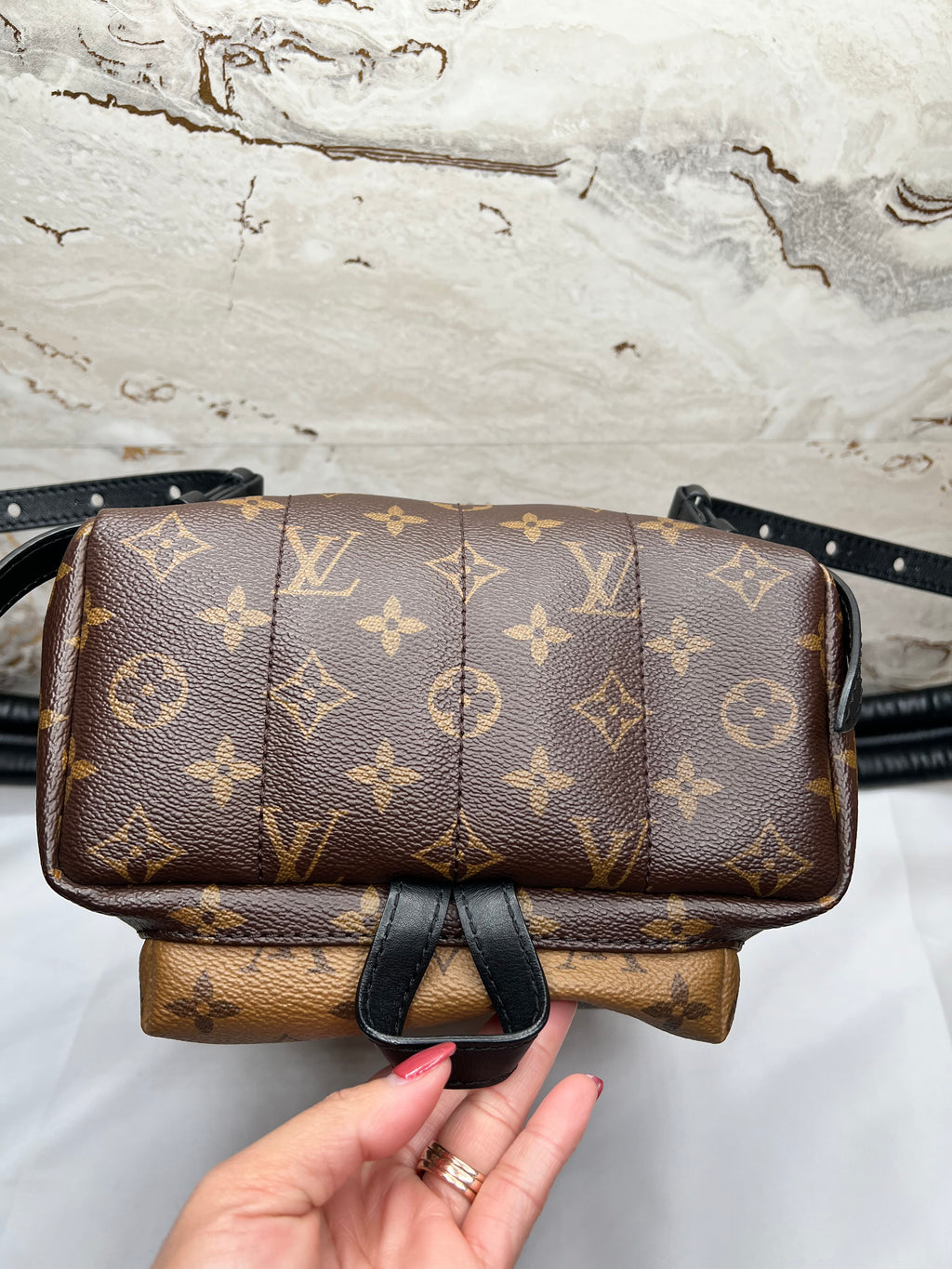 Louis Vuitton Palm Springs Backpack