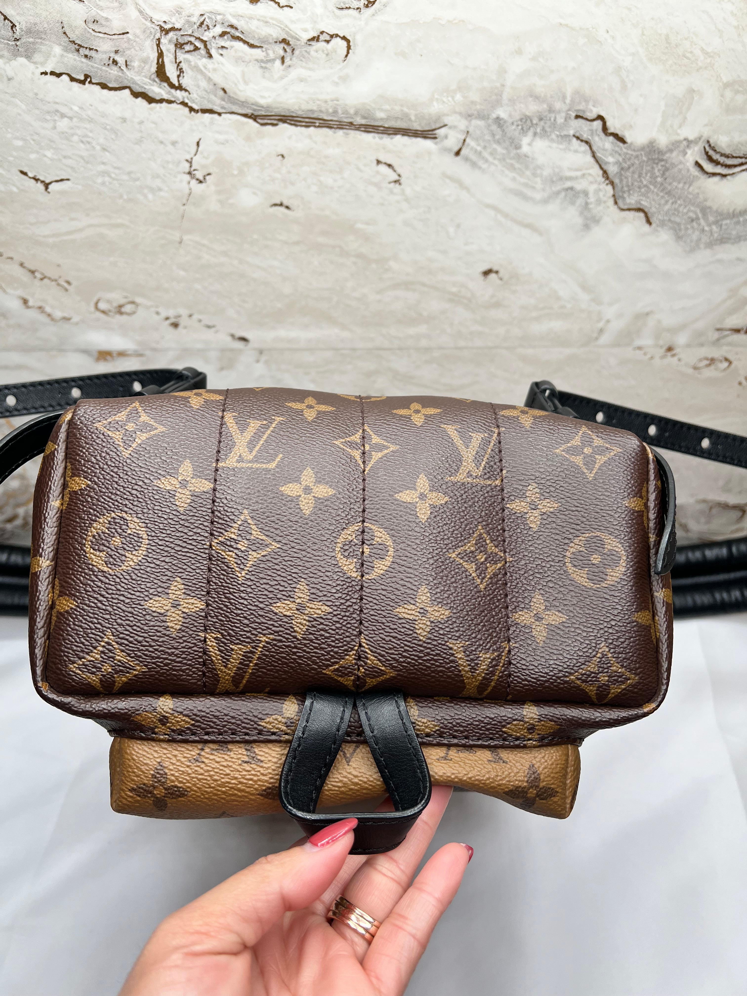 Louis Vuitton Palm Springs Backpack