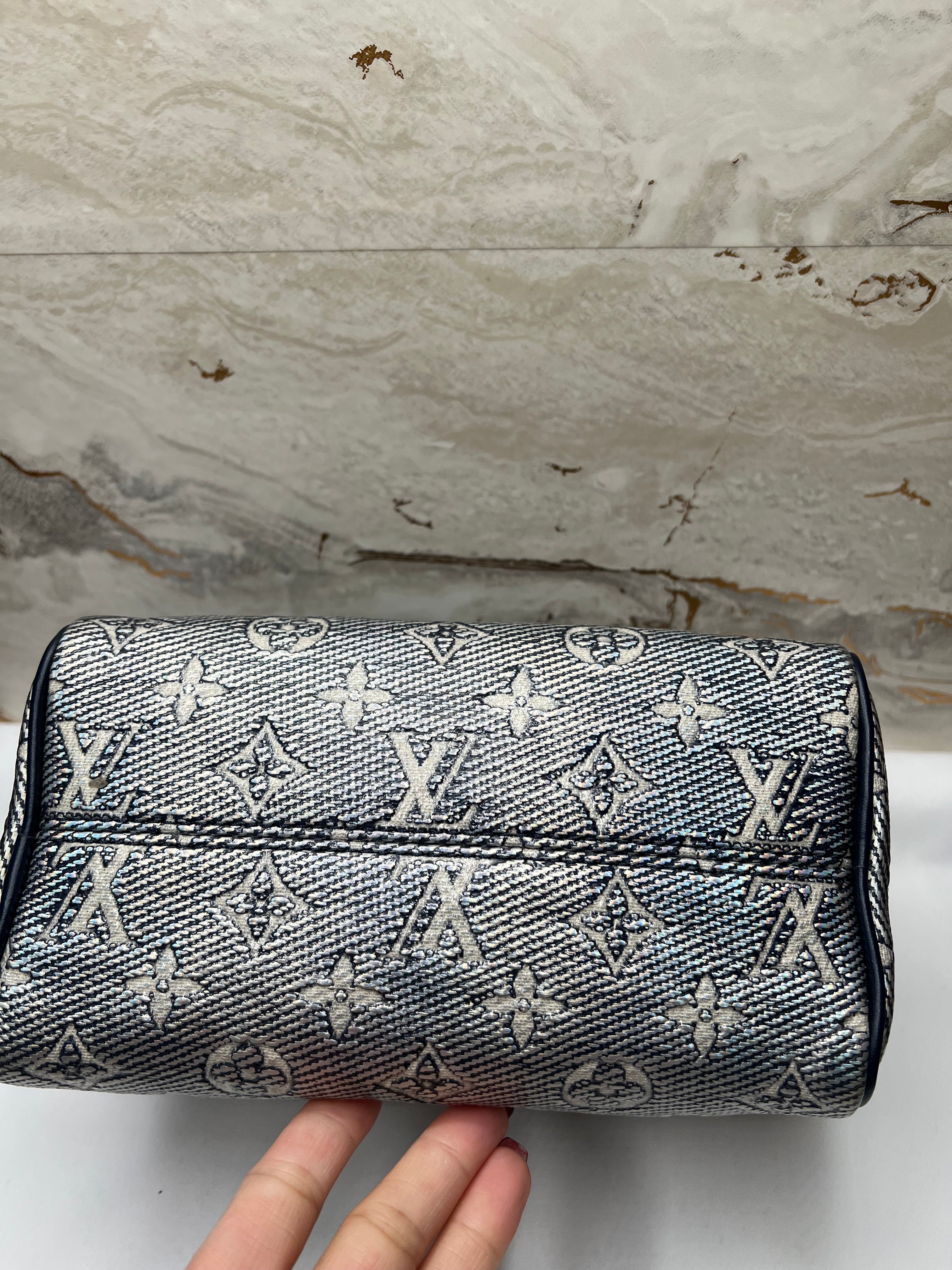 Louis Vuitton Speedy Bando 20
