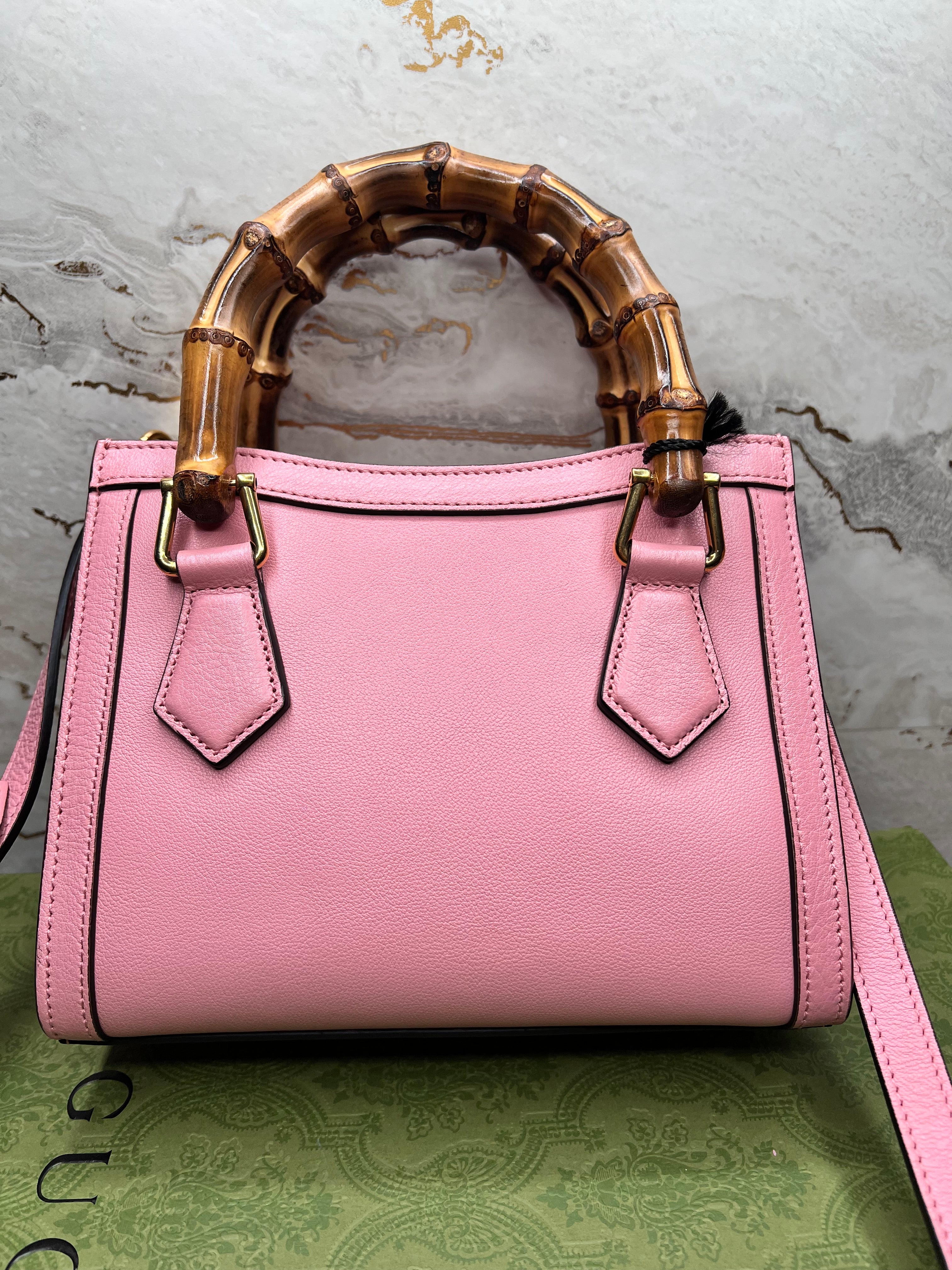 Unused Condition Mini Gucci Diana