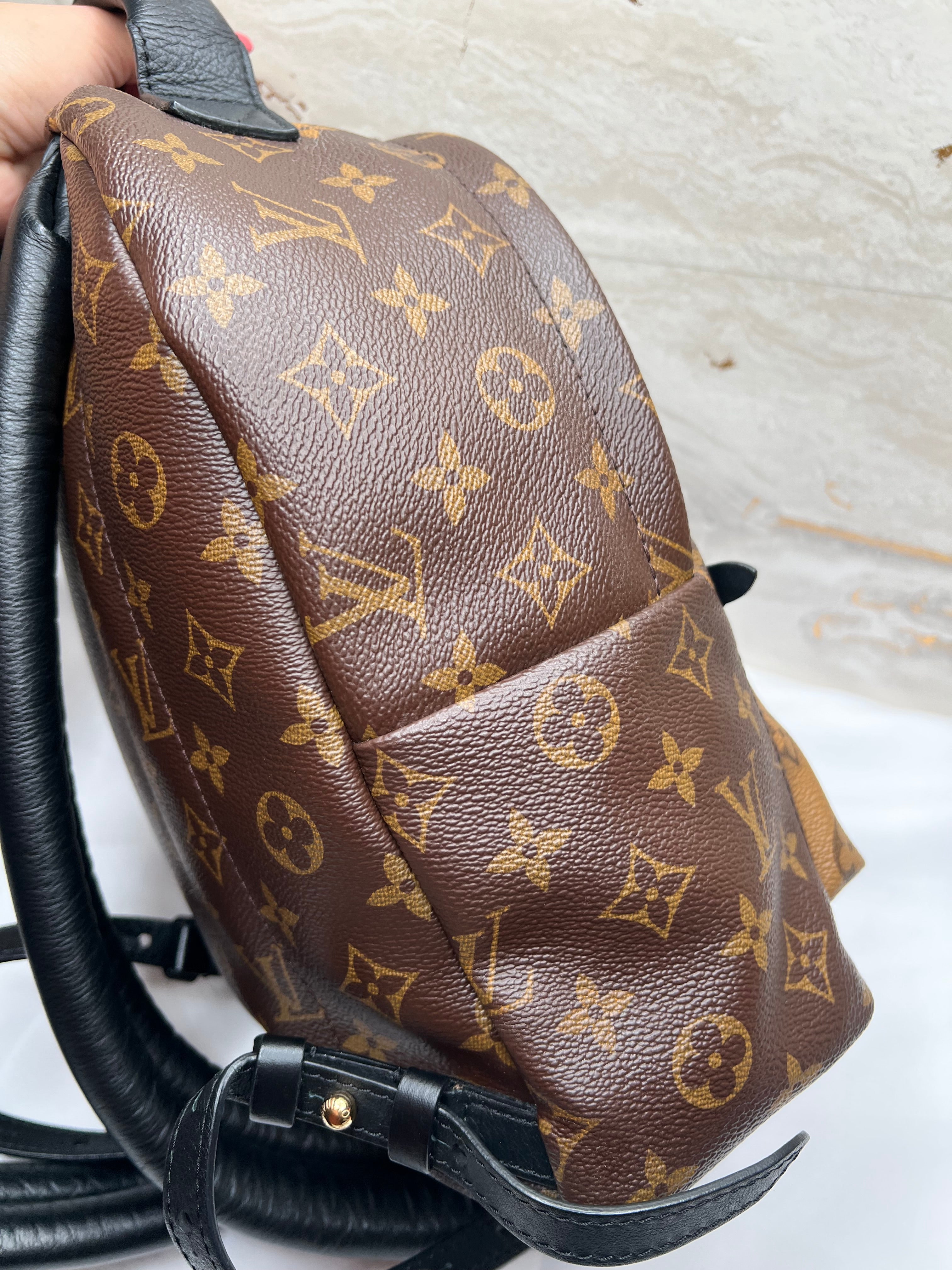 Louis Vuitton Palm Springs Backpack
