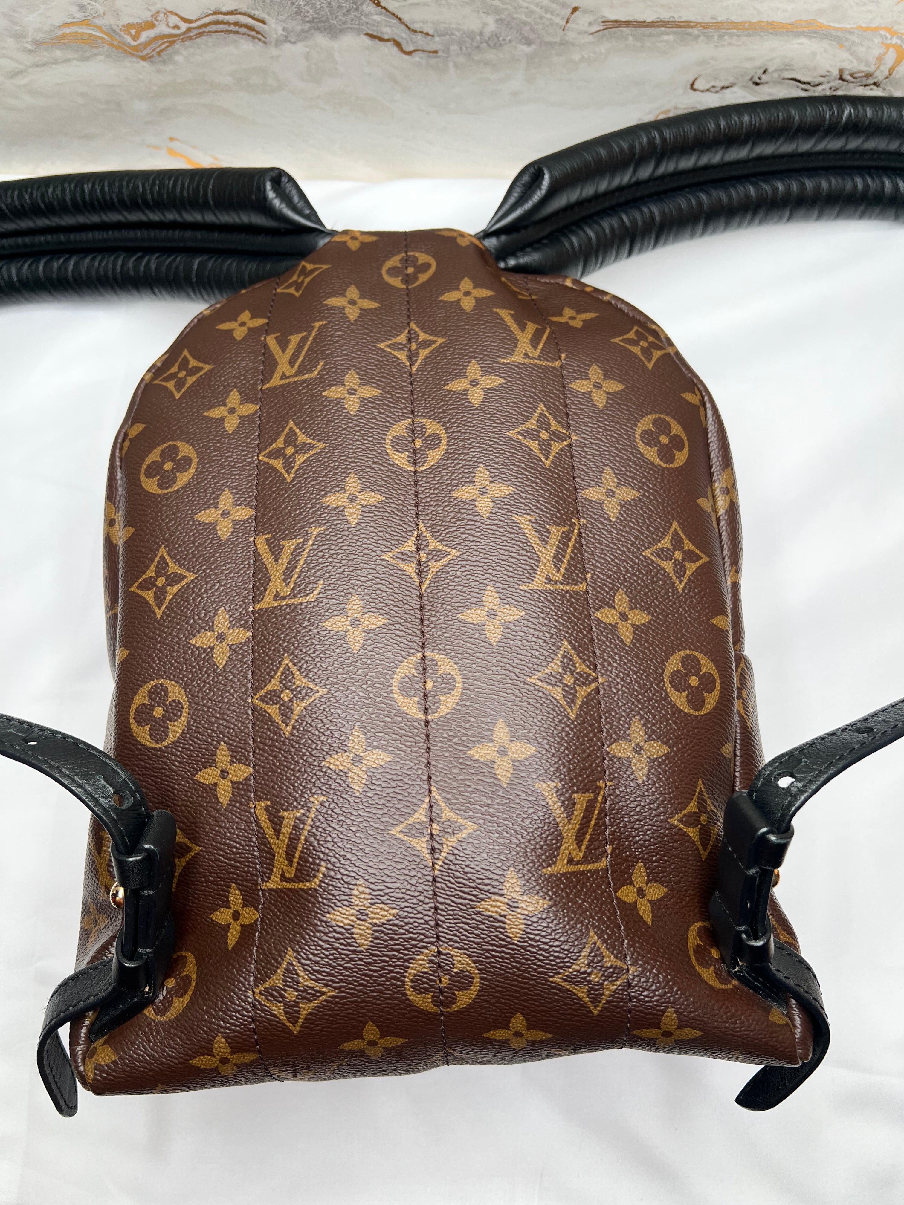 Louis Vuitton Palm Springs Backpack