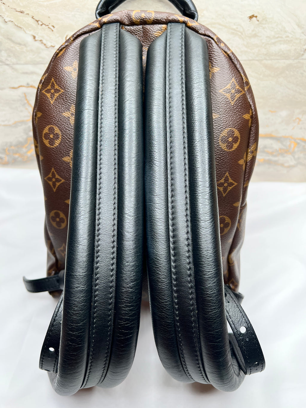 Louis Vuitton Palm Springs Backpack
