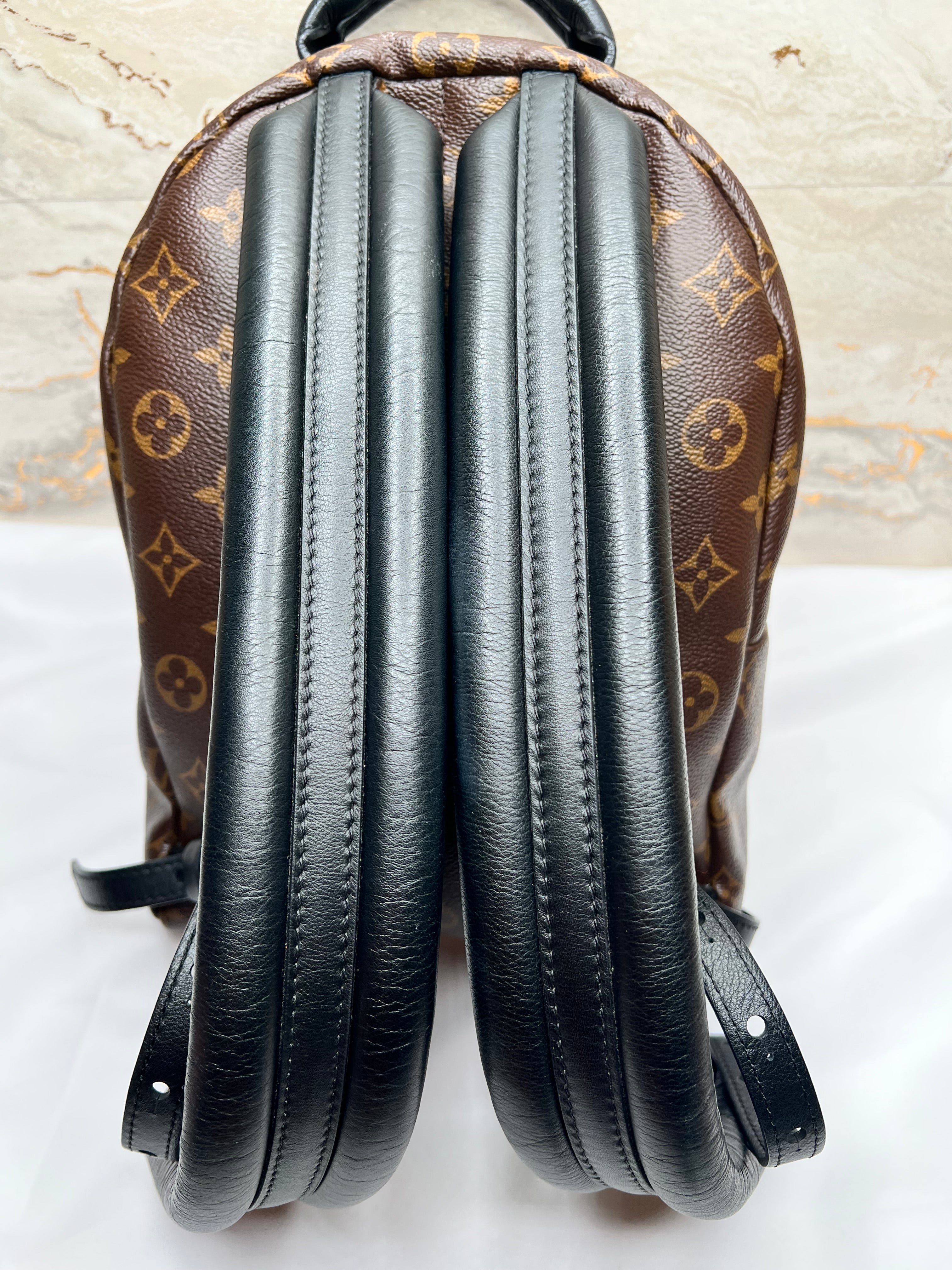 Louis Vuitton Palm Springs Backpack