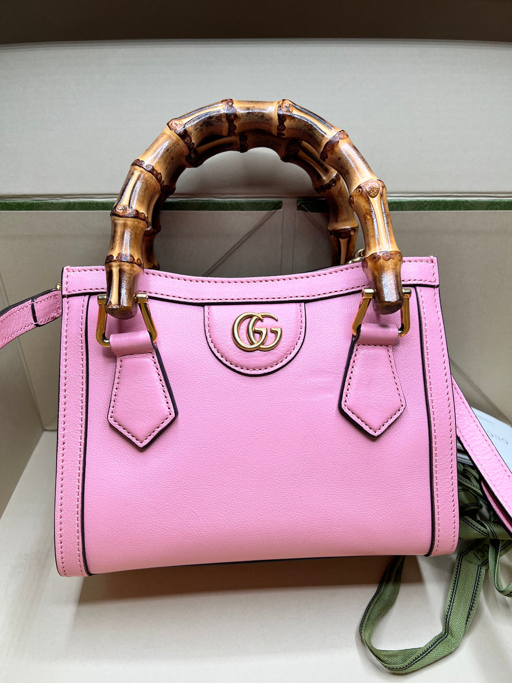 Unused Condition Mini Gucci Diana