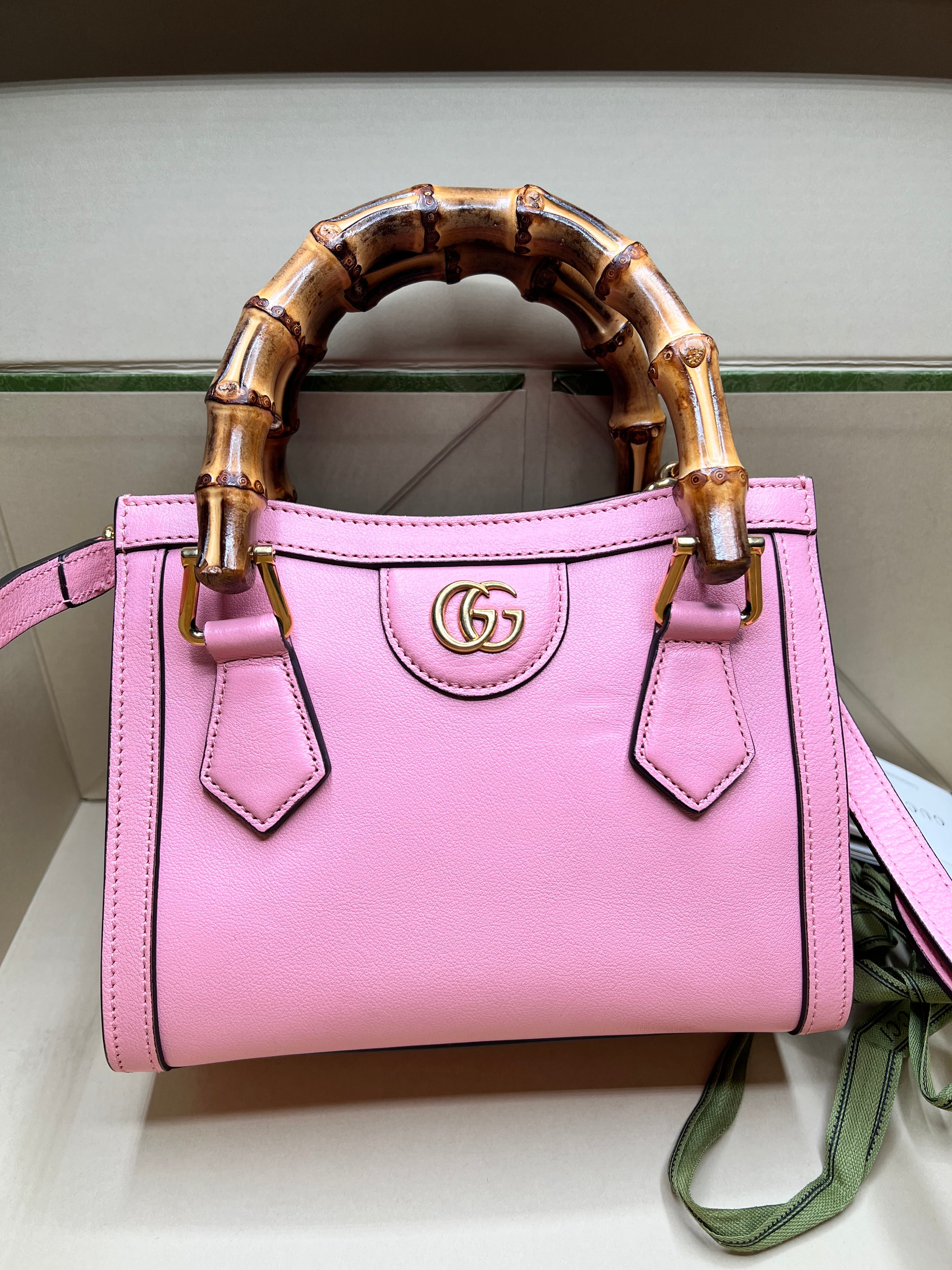 Unused Condition Mini Gucci Diana