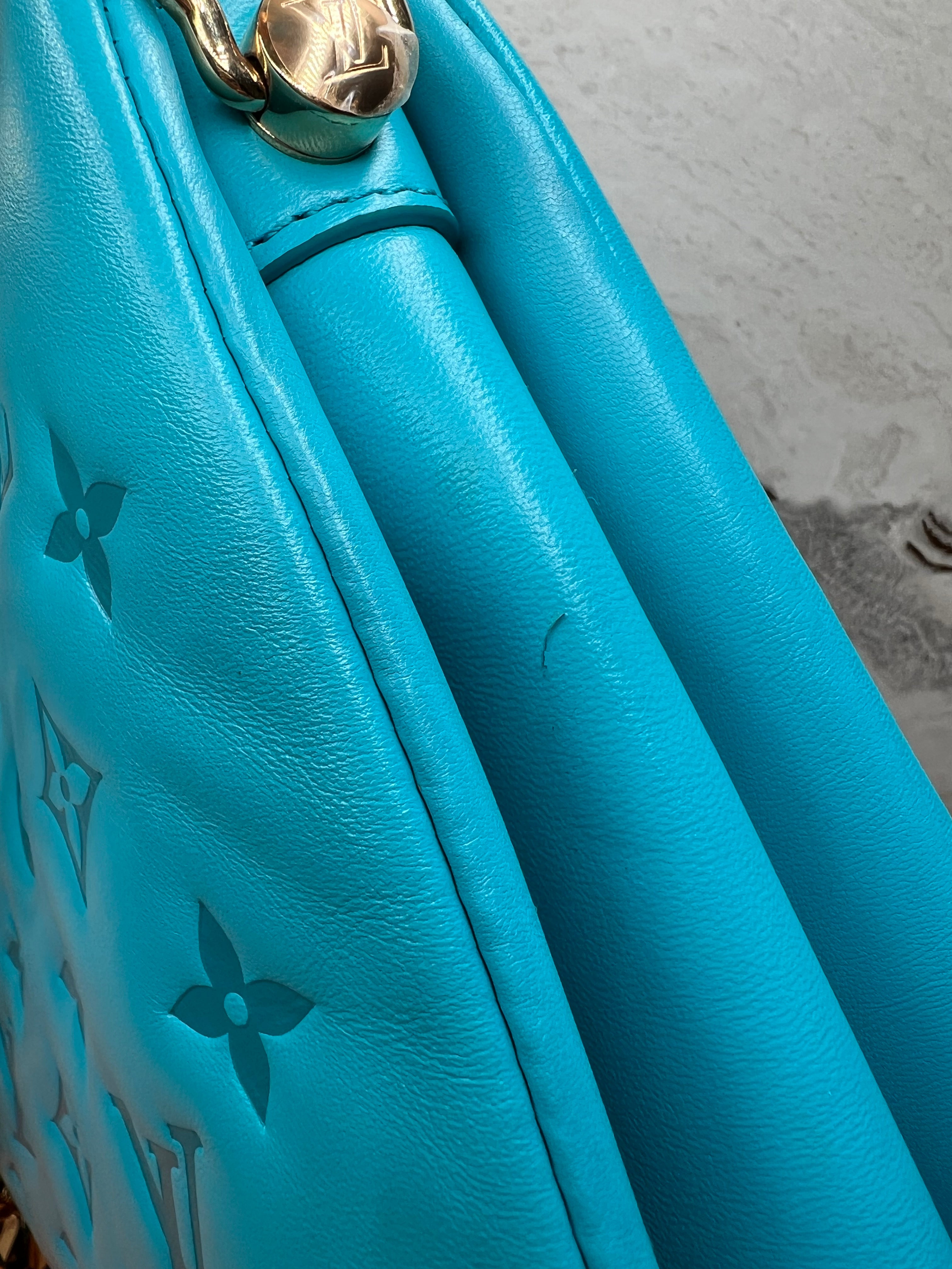 Louis Vuitton Coussin PM