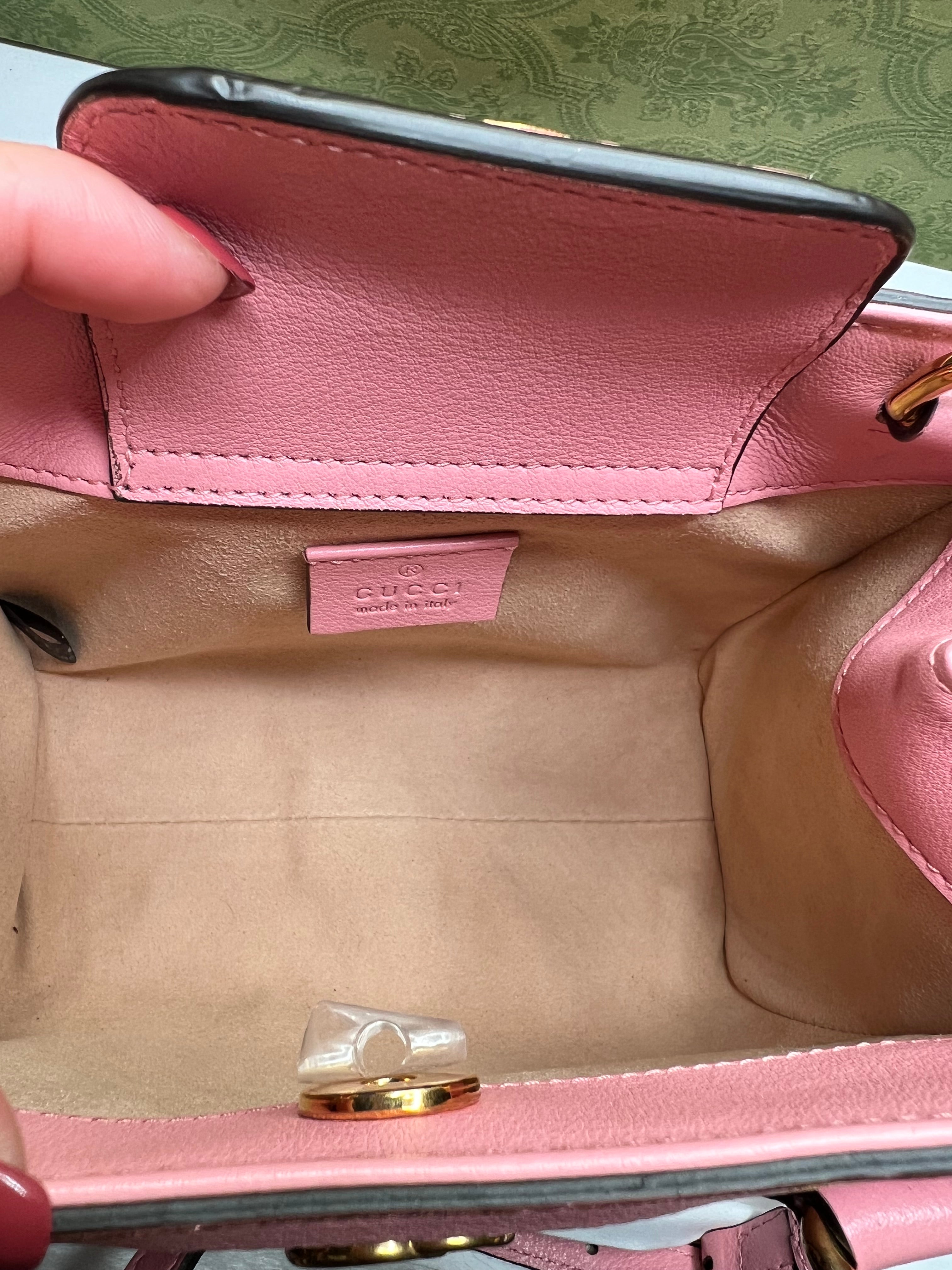 Unused Condition Mini Gucci Diana
