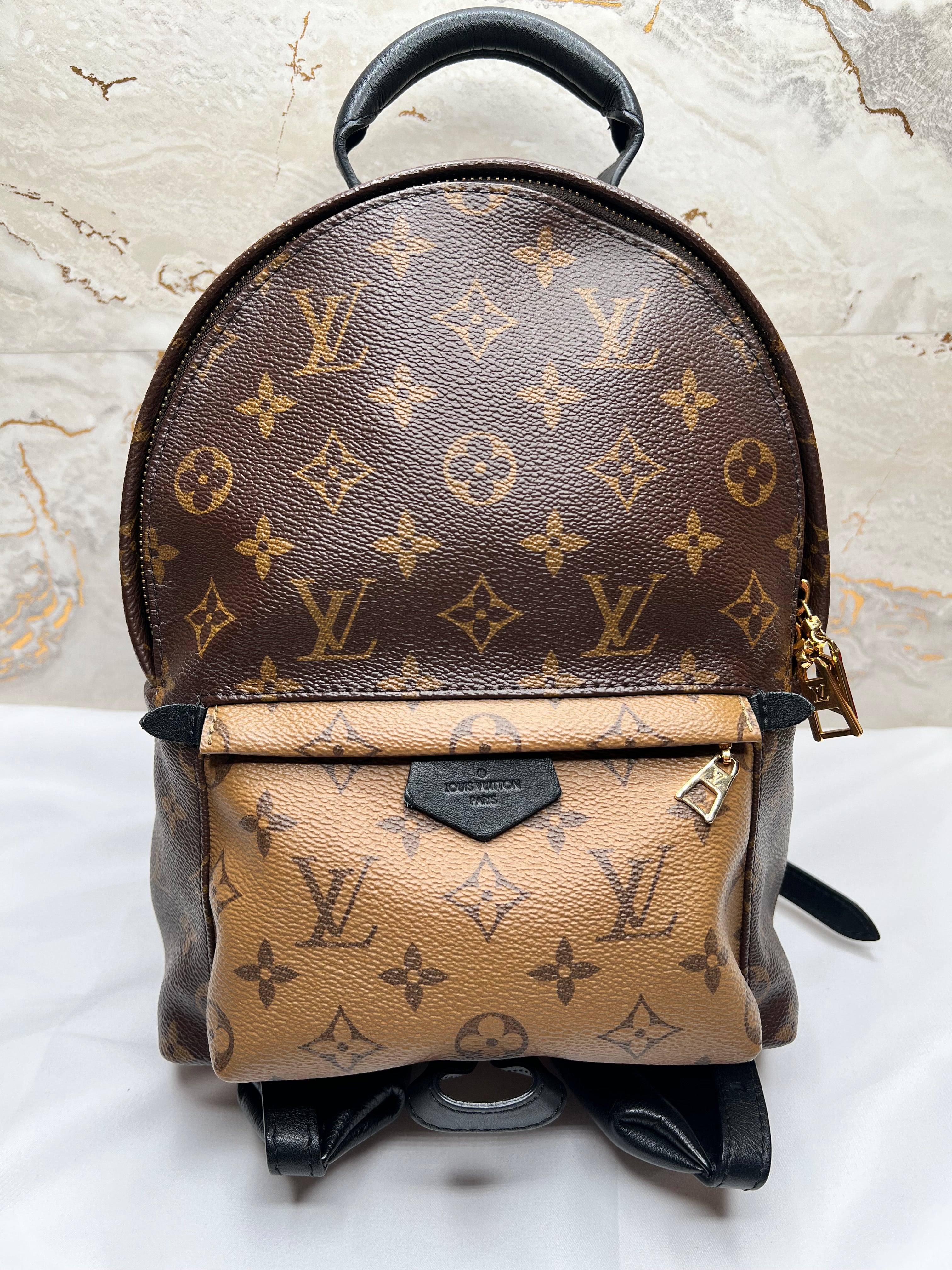 Louis Vuitton Palm Springs Backpack