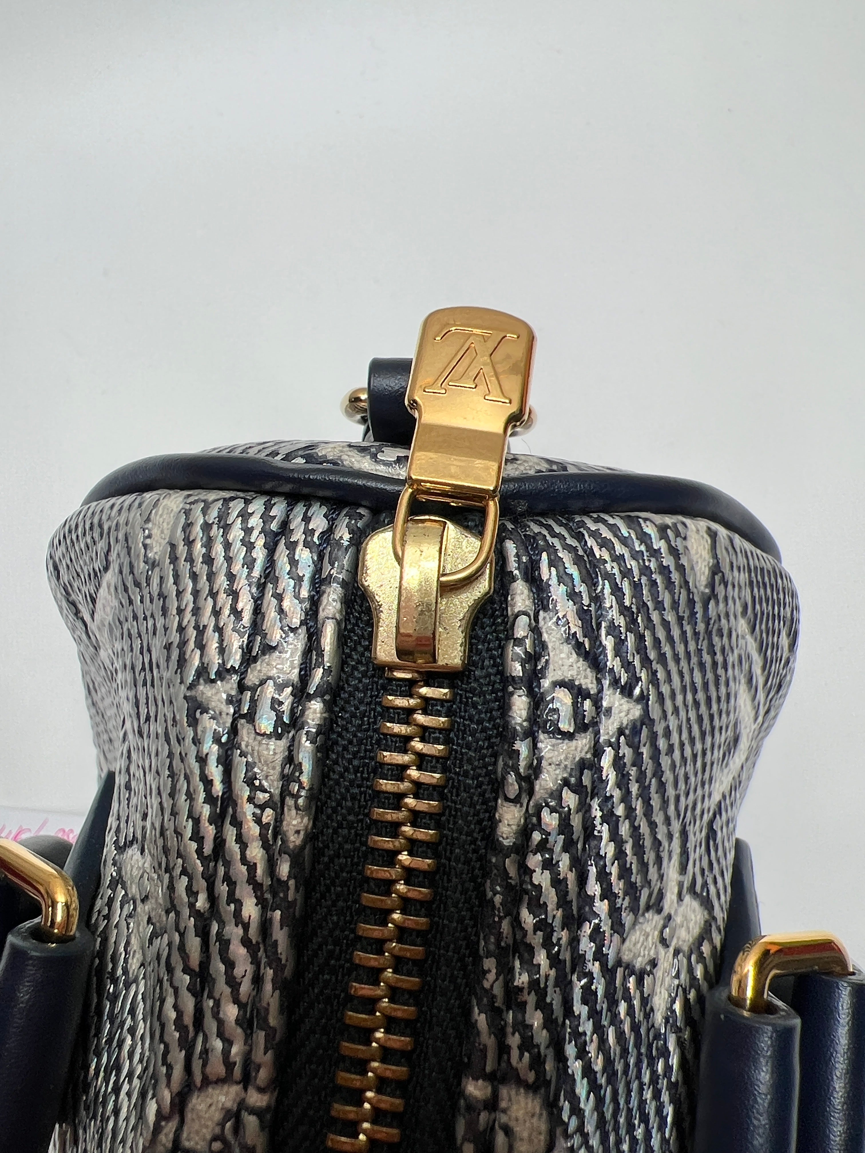 Louis Vuitton Speedy Bando 20