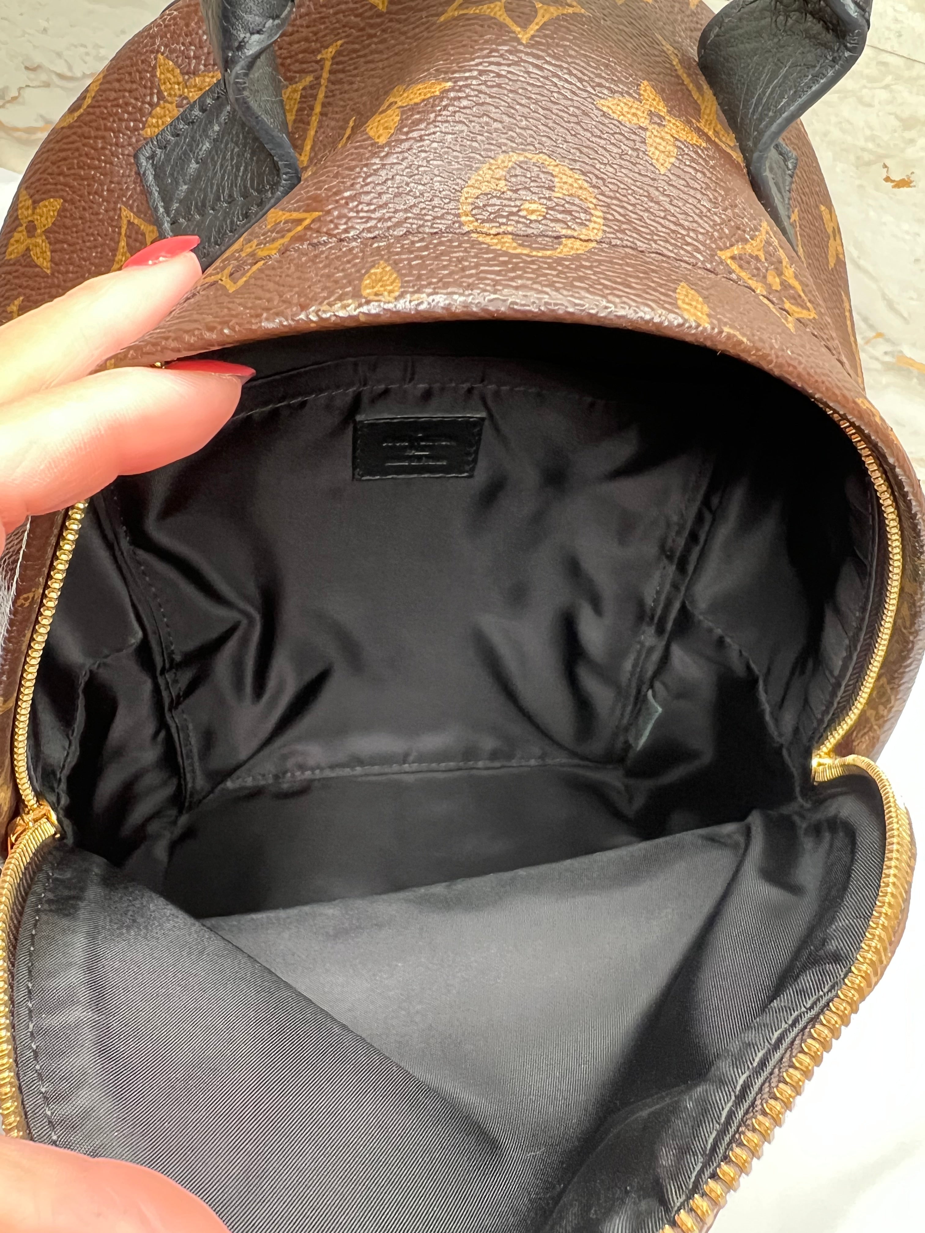 Louis Vuitton Palm Springs Backpack